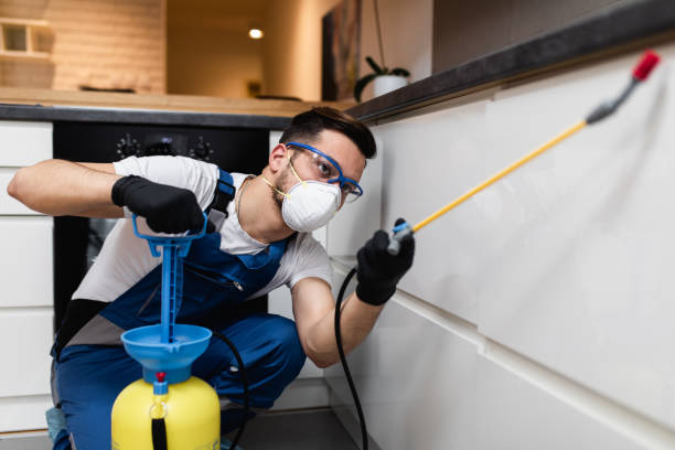 Best Pest Control for Businesses  in Sun Prairie, WI