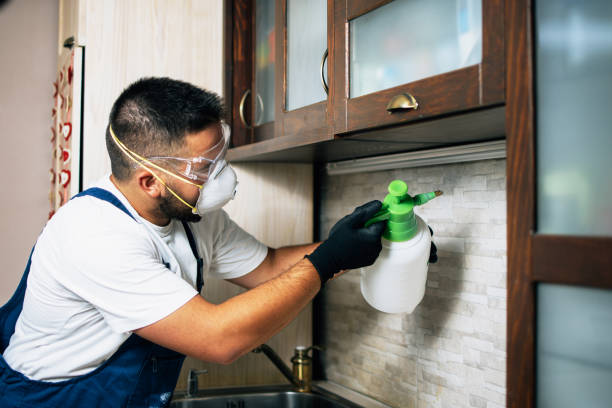 Reliable Sun Prairie, WI Pest Control Solutions