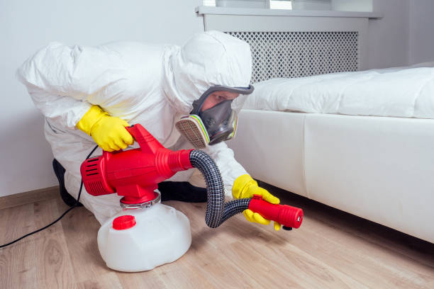 Best Affordable Pest Control Services  in Sun Prairie, WI