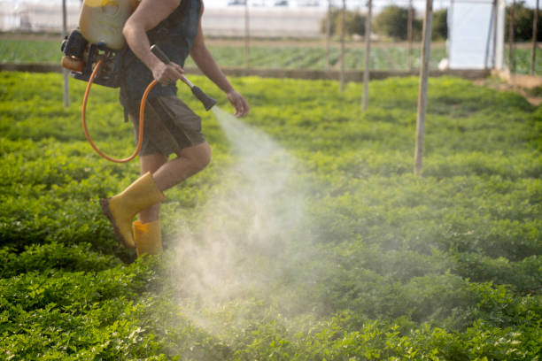 Best Commercial Pest Control Services  in Sun Prairie, WI