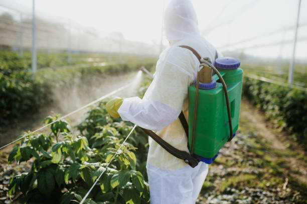 Best Best Pest Control Companies  in Sun Prairie, WI